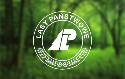 Wysokiej jakości surowiec drzewny z Lasów Państwowych